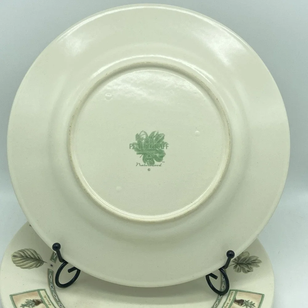 Portfolio Pfaltzgraff Naturewood Dinner Plates 11